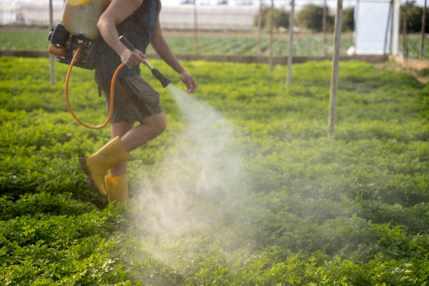 Best Pest Prevention Services  in Addison, TX