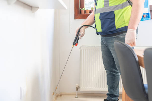 Best Termite Control Services  in Addison, TX
