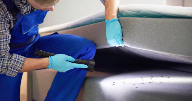 Best Cockroach Control Services  in Addison, TX