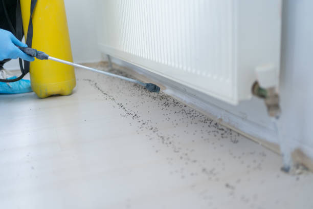 Best Commercial Pest Control Services  in Addison, TX
