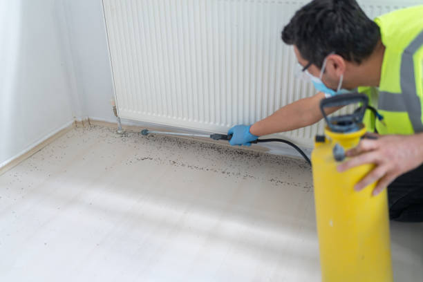Best Pest Control Near Me in Addison, TX