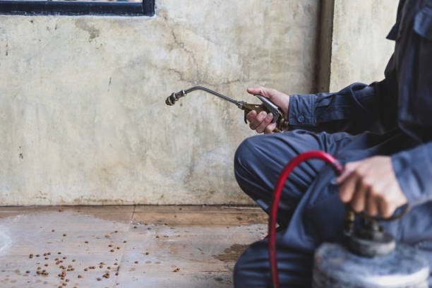 Best Exterminator Services  in Addison, TX
